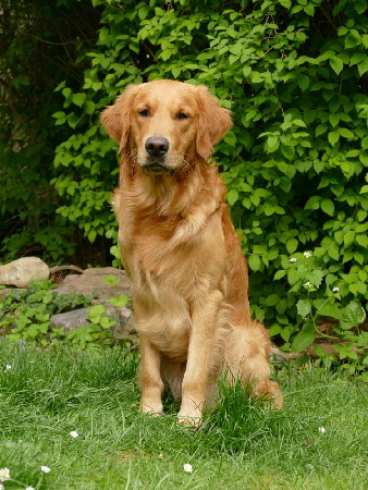 fbP1080055 (2) fbP1080055 (2)