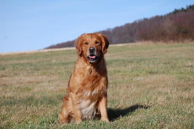 feld febr 048..bJPG feld febr 048..bJPG