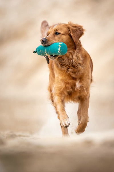 2022-03-26 InOff Workingtest Wunstorf-113