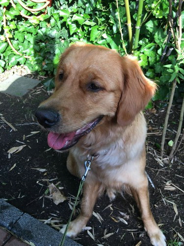 GabbyIMG-20210707-WA0004