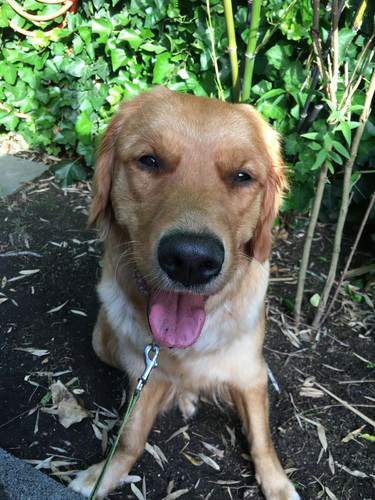 GabbyIMG-20210707-WA0007