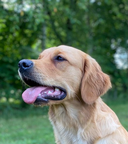 GipsyPHOTO-2021-07-06-18-54-271