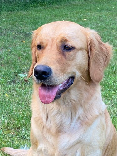 GipsyPHOTO-2021-07-06-18-54-276