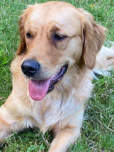 GipsyPHOTO-2021-07-06-18-54-277