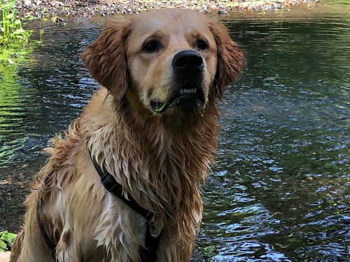 GordonWhatsApp Image 2021-07-17 at 17.13.17