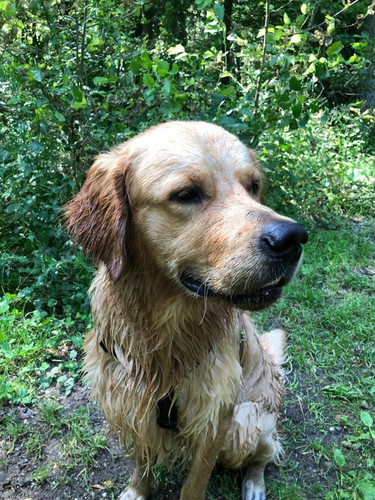 GordonWhatsApp Image 2021-07-17 at 17.13.31