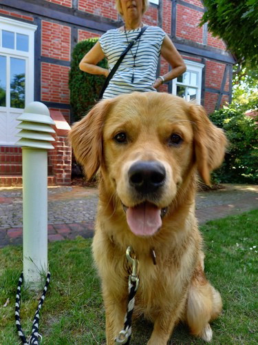 GordonWhatsApp Image 2021-07-17 at 17.13.47