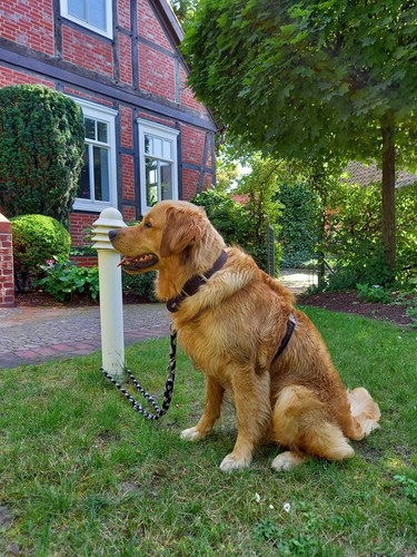 GordonWhatsApp Image 2021-07-17 at 17.14.02