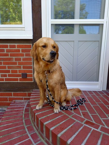 GordonWhatsApp Image 2021-07-17 at 17.14.18