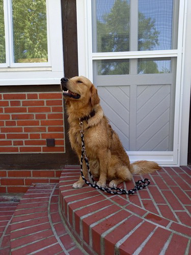 GordonWhatsApp Image 2021-07-17 at 17.14.48