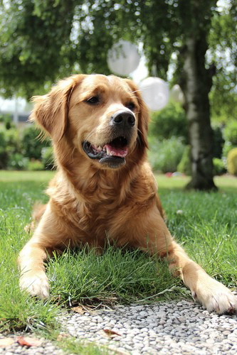 Lexi!cid_2BD9ACEB-D01B-4372-B6F5-373456A7A2B8