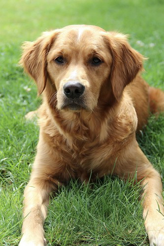 Lexi!cid_E6A15D95-329B-416F-AC5E-9431F2E8DC0F