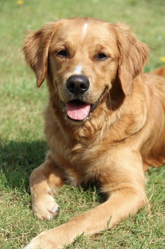 Lexi!cid_EC4D3A27-645E-461B-81D7-44416895A4CE