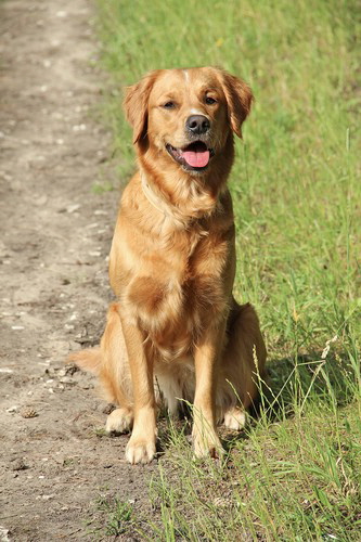 Lexi!cid_F82C1B3C-048A-4429-819E-72061A6C8921