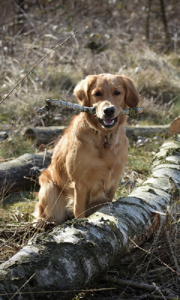 !cid_DA3556AA-CA8D-4713-B2BA-5882B65AA847