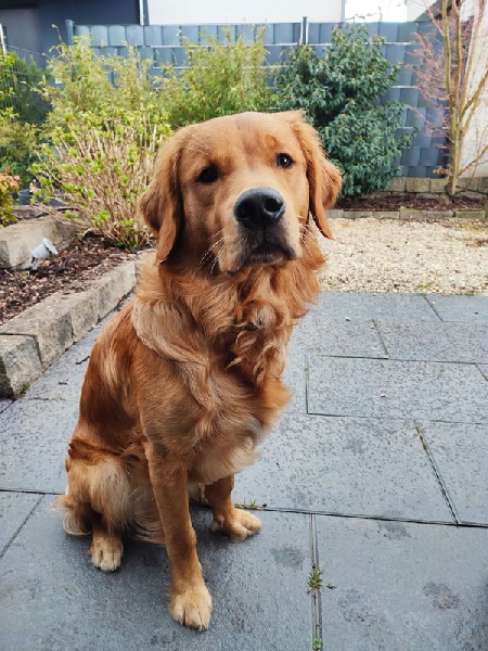 2022-04-03_16-40-49_578