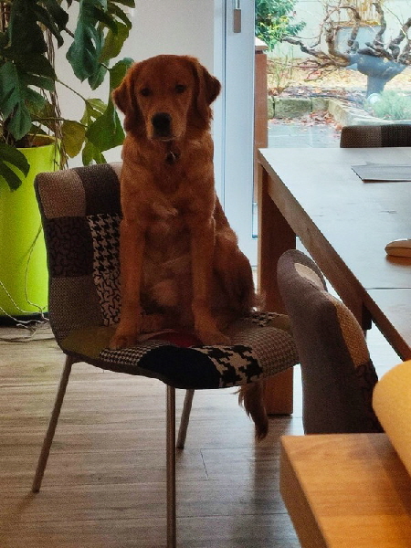 2022-04-03_16-42-13_620