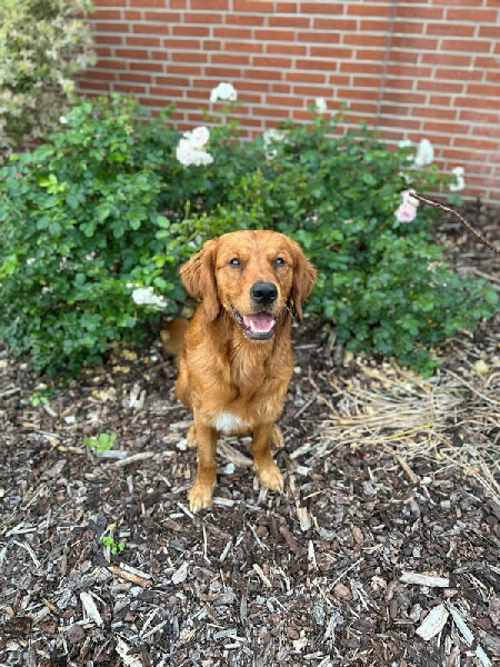 !cid_0ECBB95B-0776-4EA3-AAA5-0AA0261F3117