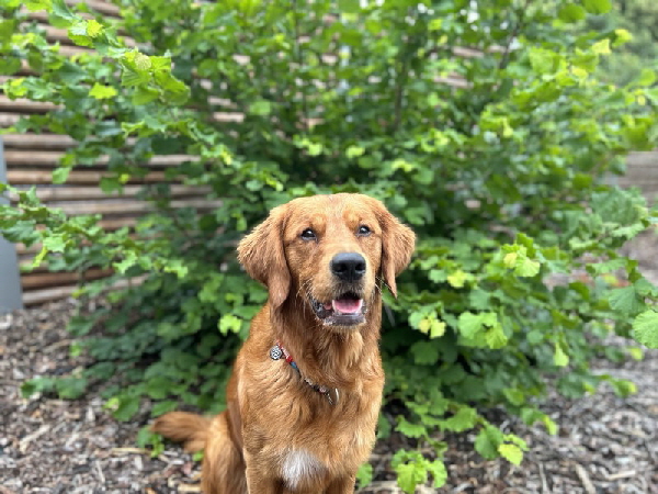 !cid_54EEBFF1-8699-4E34-8351-DB9295463DCD