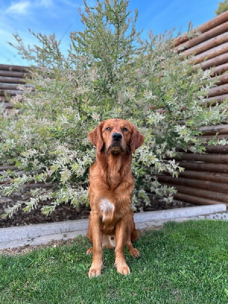 !cid_972643B4-996B-40C0-A684-B9593F6DDD90