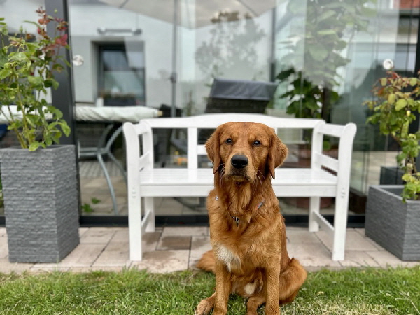 !cid_F33C0AD9-7BFA-4E42-A513-ADF8602F2E98