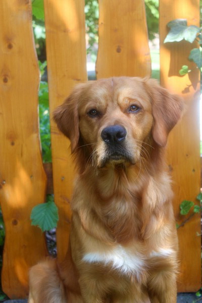 20230702135632_IMG_1605 (1)