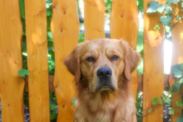 20230702135720_IMG_1615