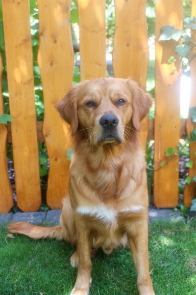 20230702135726_IMG_1617