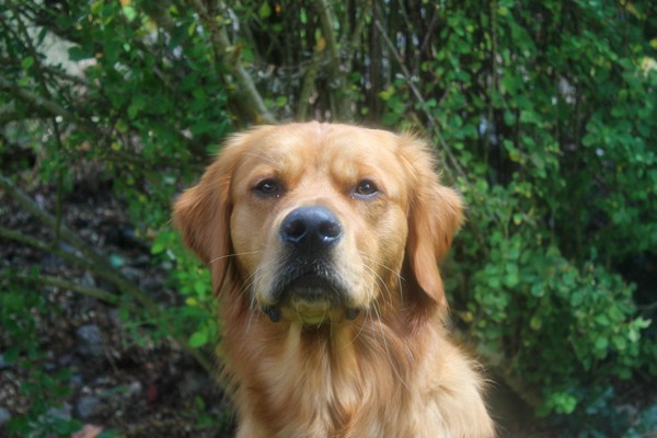 20230702135902_IMG_1633