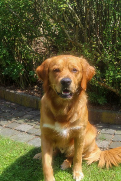 20230702135951_IMG_1638