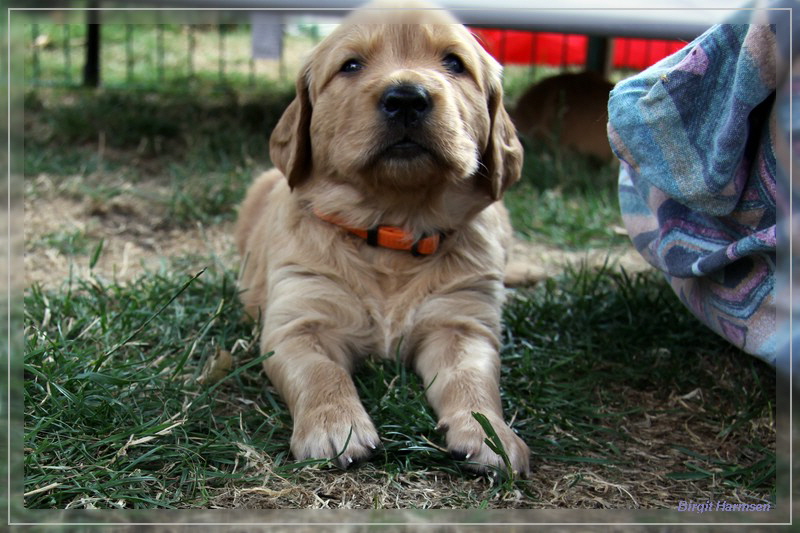 IMG_1541_bearbeitet-1