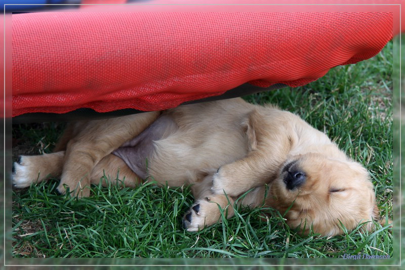 IMG_1544_bearbeitet-1