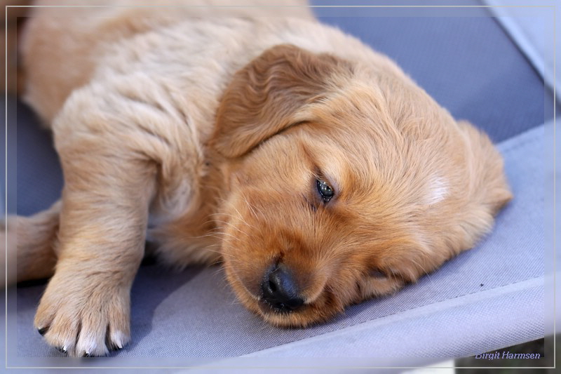 IMG_1559_bearbeitet-1