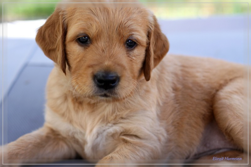 IMG_1561_bearbeitet-1