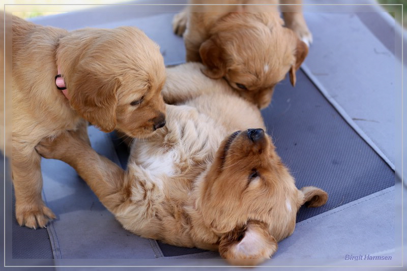 IMG_1565_bearbeitet-1