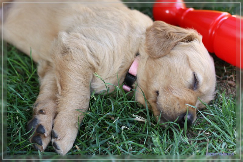 IMG_1566_bearbeitet-1