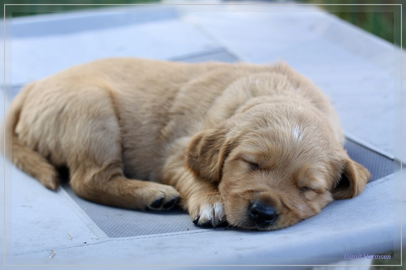 IMG_1568_bearbeitet-1