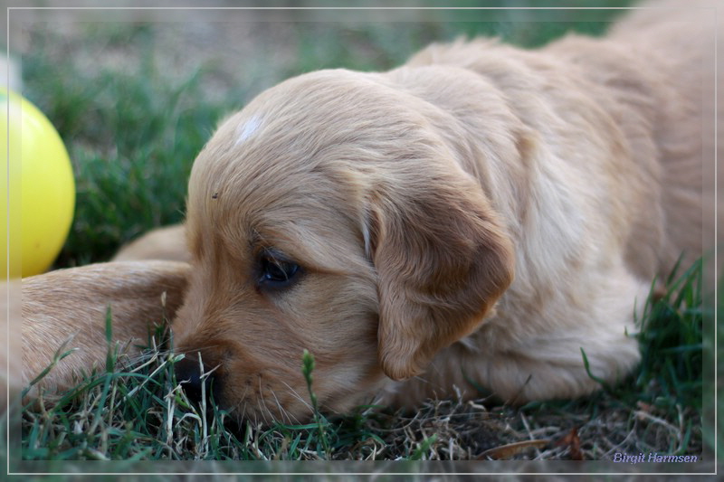 IMG_1570_bearbeitet-1