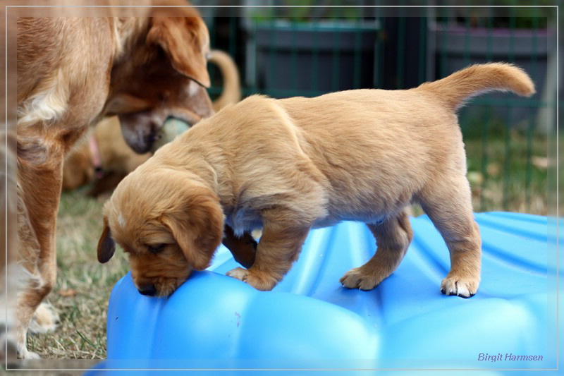 IMG_1578_bearbeitet-1