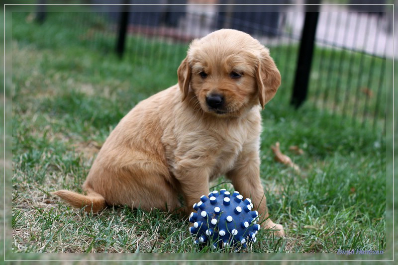 IMG_1579_bearbeitet-1