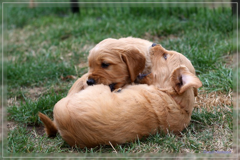 IMG_1580_bearbeitet-1