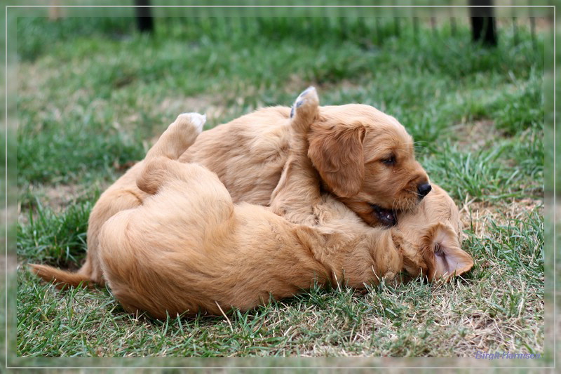 IMG_1581_bearbeitet-1