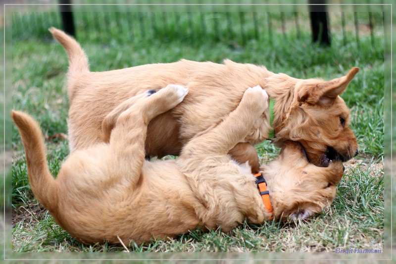 IMG_1582_bearbeitet-1