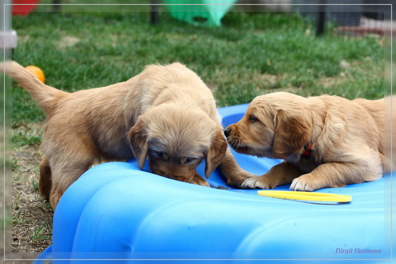 IMG_1589_bearbeitet-1