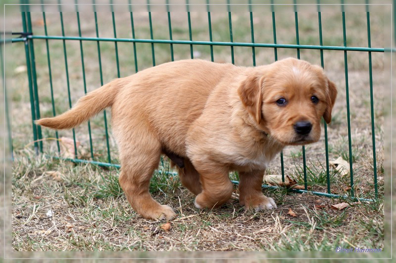 IMG_1590_bearbeitet-1