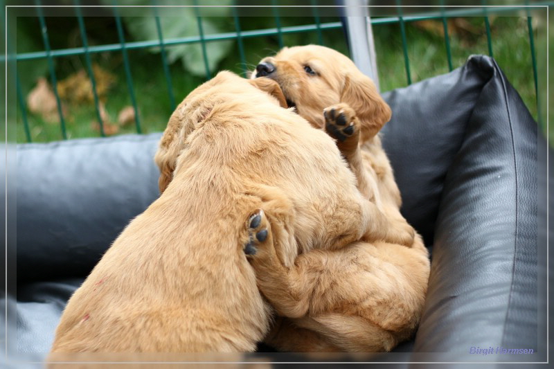 IMG_1592_bearbeitet-1