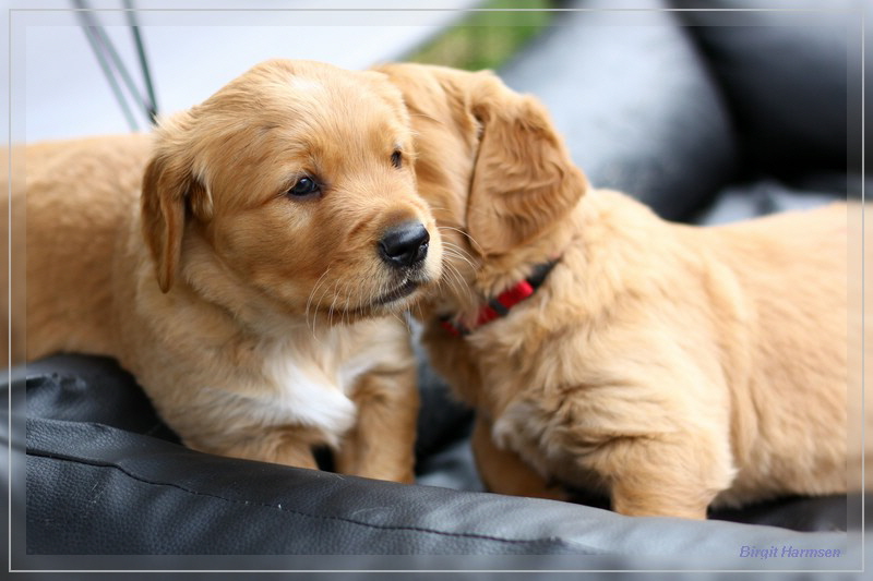 IMG_1593_bearbeitet-1