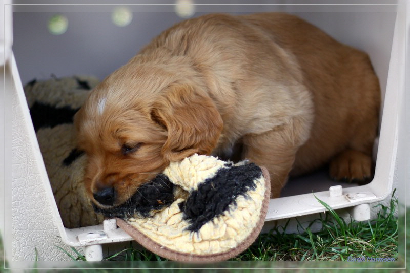 IMG_1603_bearbeitet-1