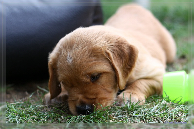 IMG_1606_bearbeitet-1