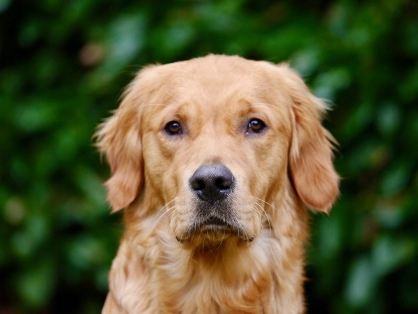 !cid_2DF9096F-003B-4E76-96B5-8B4DEB5209CF !cid_2DF9096F-003B-4E76-96B5-8B4DEB5209CF